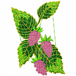 Raspberry Embroidery Design 2 Raspberry Embroidery Design 2